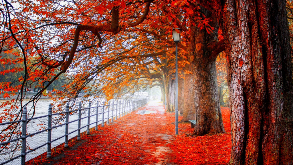 allée rouge